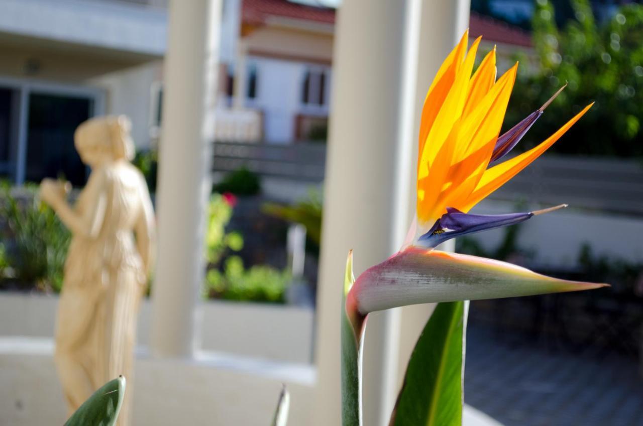 Hotel Estia Finikounda Zewnętrze zdjęcie